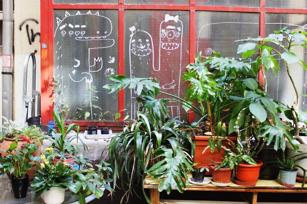 Dbc Hostel Budapest Esterno foto
